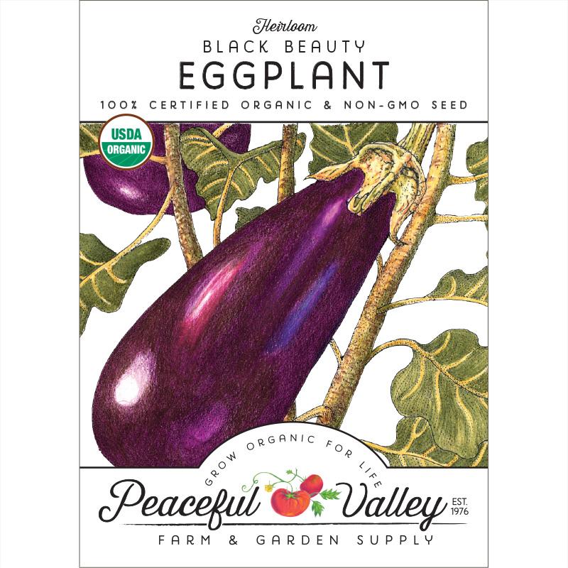 Black Beauty Eggplant Seeds (Organic) - Grow Organic Black Beauty Eggplant Seeds (Organic) Vegetable Seeds