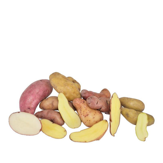 Spring-Planted Organic Fingerling Seed Potato Mix - Grow Organic Spring-Planted Organic Fingerling Seed Potato Mix (lb) Potatoes