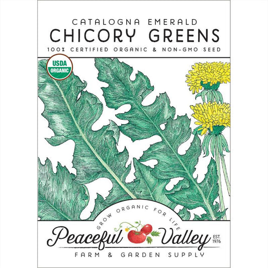 Chicory Catalogna Greens Seeds (Organic) - Grow Organic Chicory Catalogna Greens Seeds (Organic) Vegetable Seeds