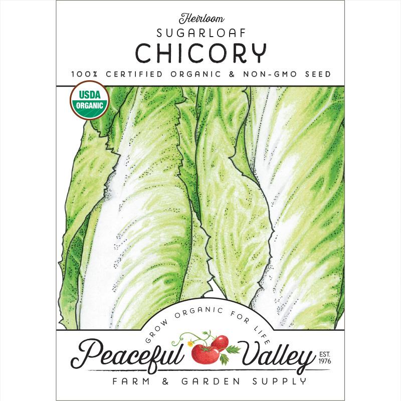 Chicory Sugarloaf Greens Seeds (Organic) - Grow Organic Chicory Sugarloaf Greens Seeds (Organic) Vegetable Seeds