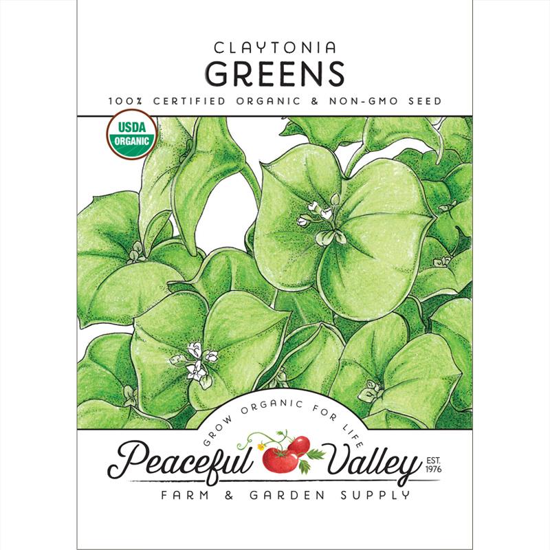 Claytonia Greens Seeds (Organic) - Grow Organic Claytonia Greens Seeds (Organic) Vegetable Seeds