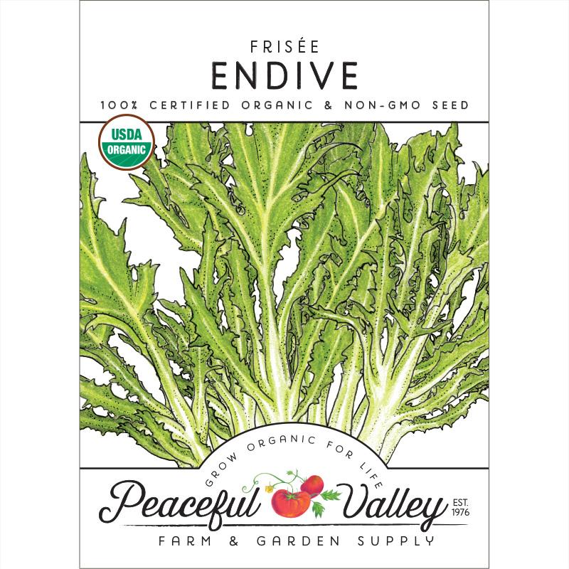 Endive, Frisee Greens Seeds (Organic) - Grow Organic Endive, Frisee Greens Seeds (Organic) Vegetable Seeds
