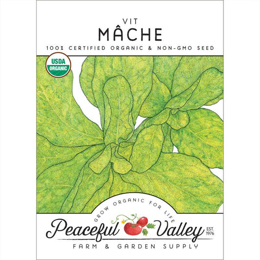 Mache Greens Seeds (Organic) - Grow Organic Mache Greens Seeds (Organic) Vegetable Seeds