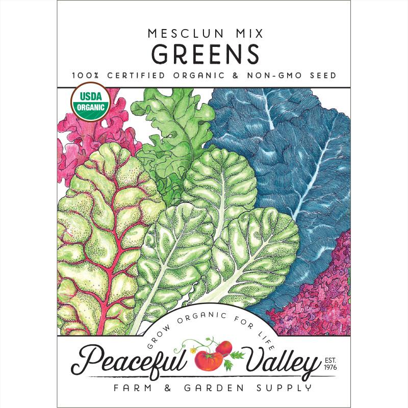Mesclun Mix Greens Seeds (Organic) - Grow Organic Mesclun Mix Greens Seeds (Organic) Vegetable Seeds