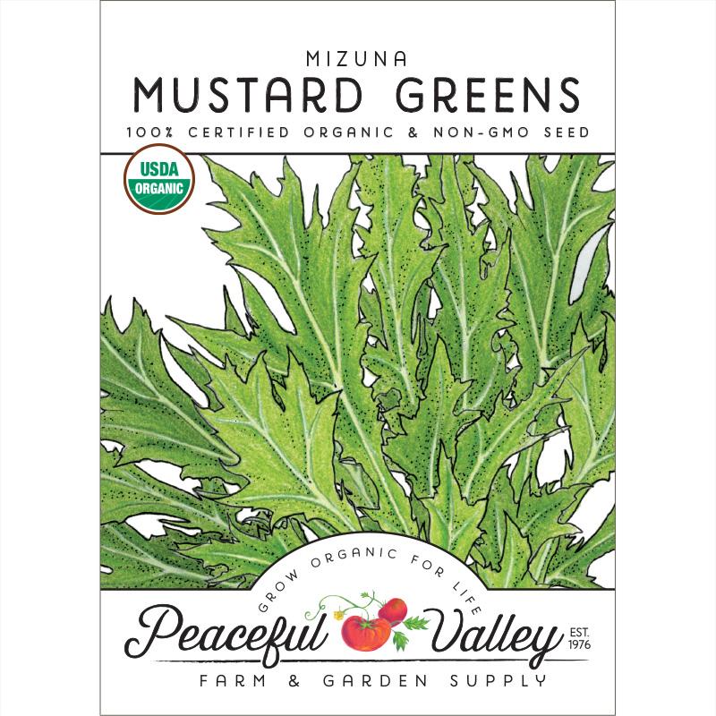 Mustard Mizuna Greens Seeds (Organic) - Grow Organic Mustard Mizuna Greens Seeds (Organic) Vegetable Seeds