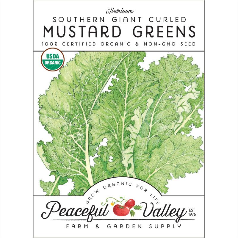 Mustard Southern Giant Curled Greens Seeds (Organic) Mustard Southern Giant Curled Greens Seeds (Organic) Vegetable Seeds