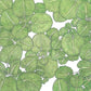 Organic Greens, Watercress (1 oz) - Grow Organic Organic Greens, Watercress (1 oz) Vegetable Seeds