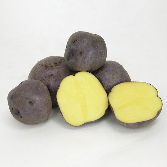 Spring-Planted Organic Huckleberry Gold Seed Potatoes - Grow Organic Spring-Planted Organic Huckleberry Gold Seed Potatoes (lb) Potatoes