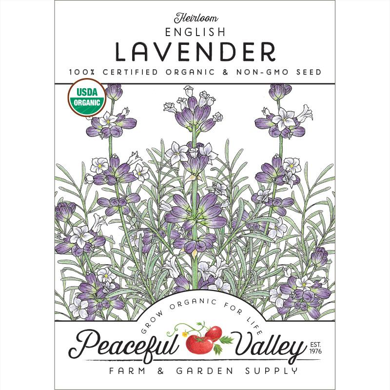 Organic Lavender, English-Vera - Grow Organic Organic Lavender, English-Vera Herb Seeds