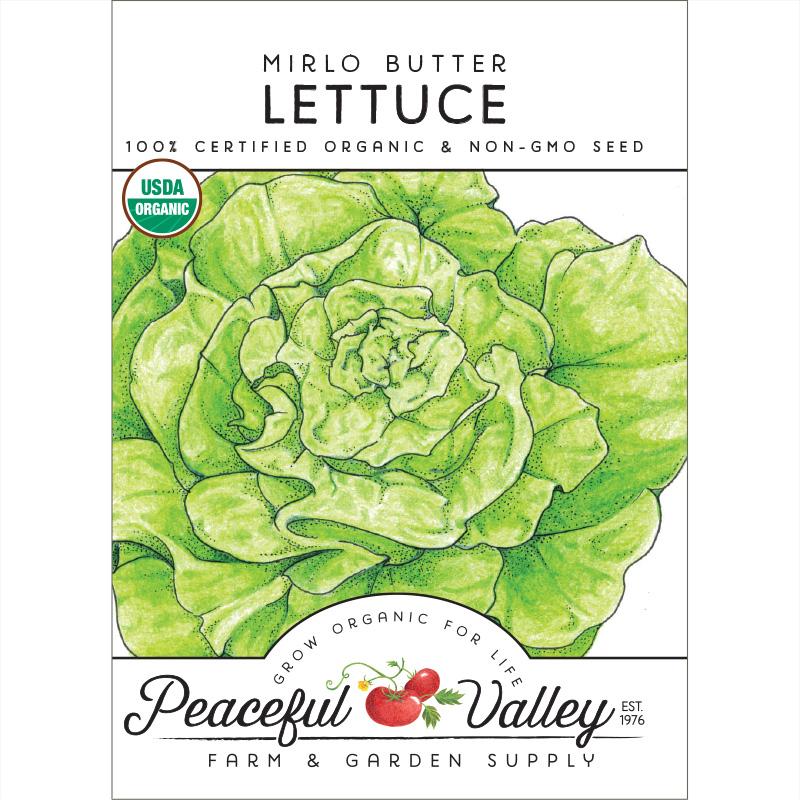 Mirlo Butter Lettuce Seeds (Organic) - Grow Organic Mirlo Butter Lettuce Seeds (Organic) Vegetable Seeds