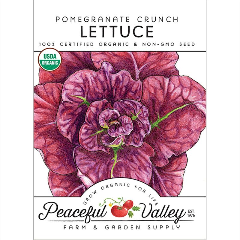 Pomegranate Crunch Lettuce Seeds (Organic) - Grow Organic Pomegranate Crunch Lettuce Seeds (Organic) Vegetable Seeds