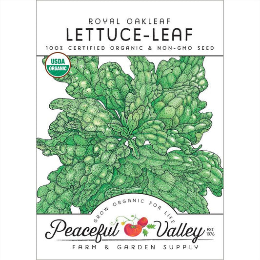 Royal Oakleaf Lettuce Seeds (Organic) - Grow Organic Royal Oakleaf Lettuce Seeds (Organic) Vegetable Seeds
