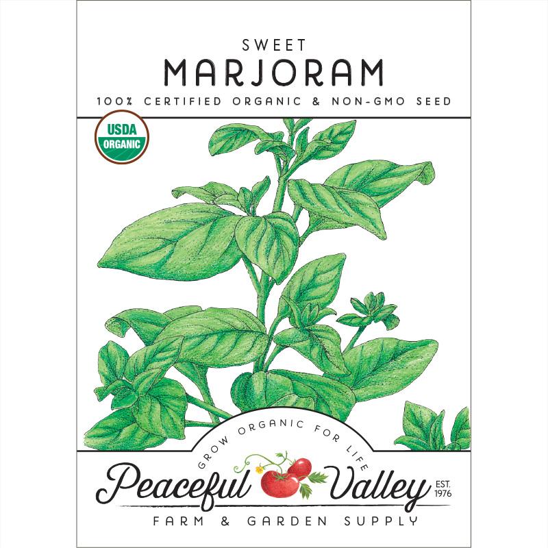 Organic Marjoram - Grow Organic Organic Marjoram Herb Seeds