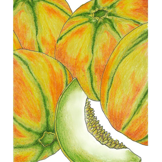 Organic Melon, Haogen (1/4 lb) - Grow Organic Organic Melon, Haogen (1/4 lb) Vegetable Seeds