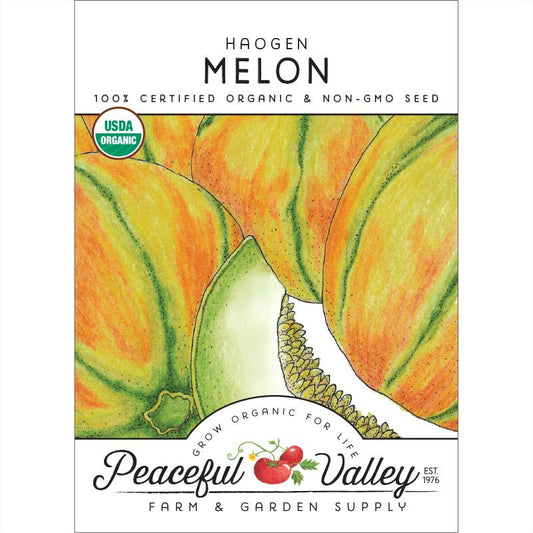 Haogen Melon Seeds (Organic) - Grow Organic Haogen Melon Seeds (Organic) Vegetable Seeds