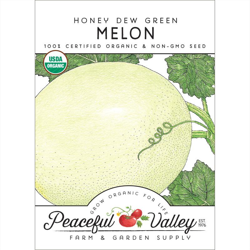 Honeydew Green Flesh Melon Seeds (Organic) - Grow Organic Honeydew Green Flesh Melon Seeds (Organic) Vegetable Seeds