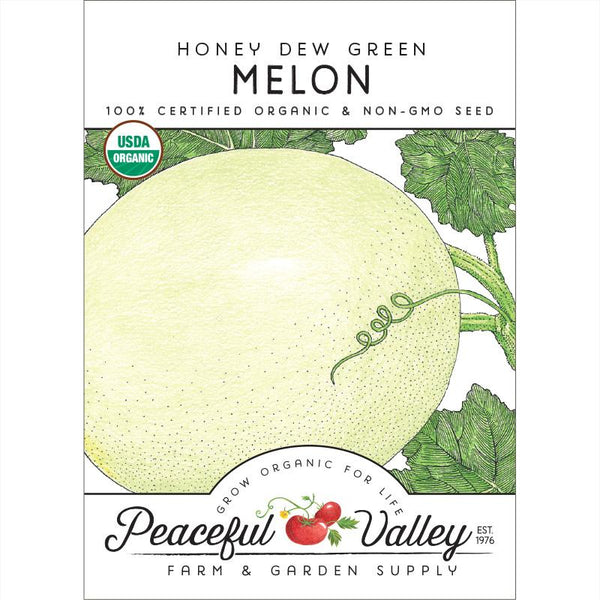 Honeydew Green Flesh Melon Seeds Grow Organic
