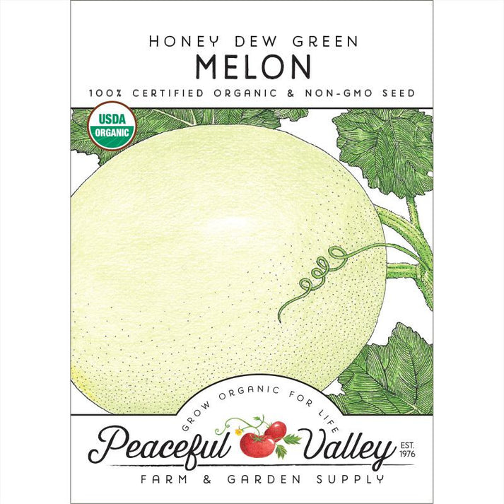 Honeydew Green Flesh Melon Seeds Grow Organic