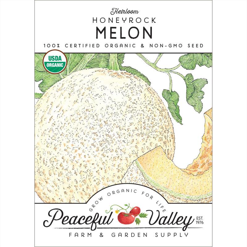 Honeyrock Melon Seeds (Organic) - Grow Organic Honeyrock Melon Seeds (Organic) Vegetable Seeds