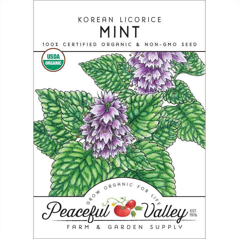 Organic Mint, Korean Licorice - Grow Organic Organic Mint, Korean Licorice Herb Seeds