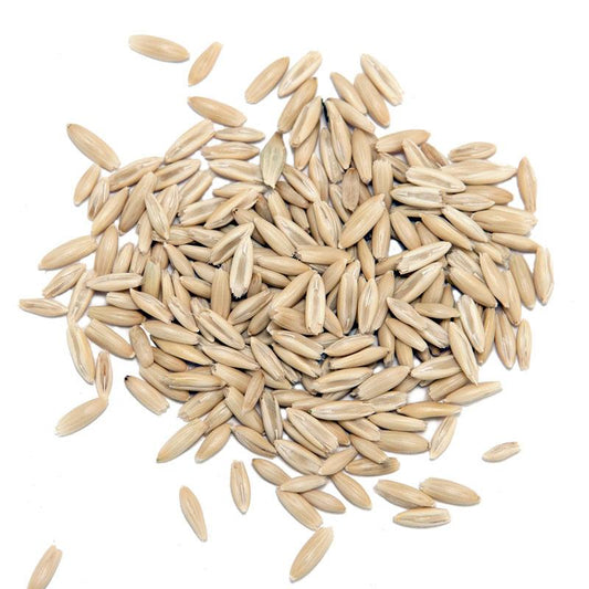  Organic Monida Oats Seed (lb) Cover Crop