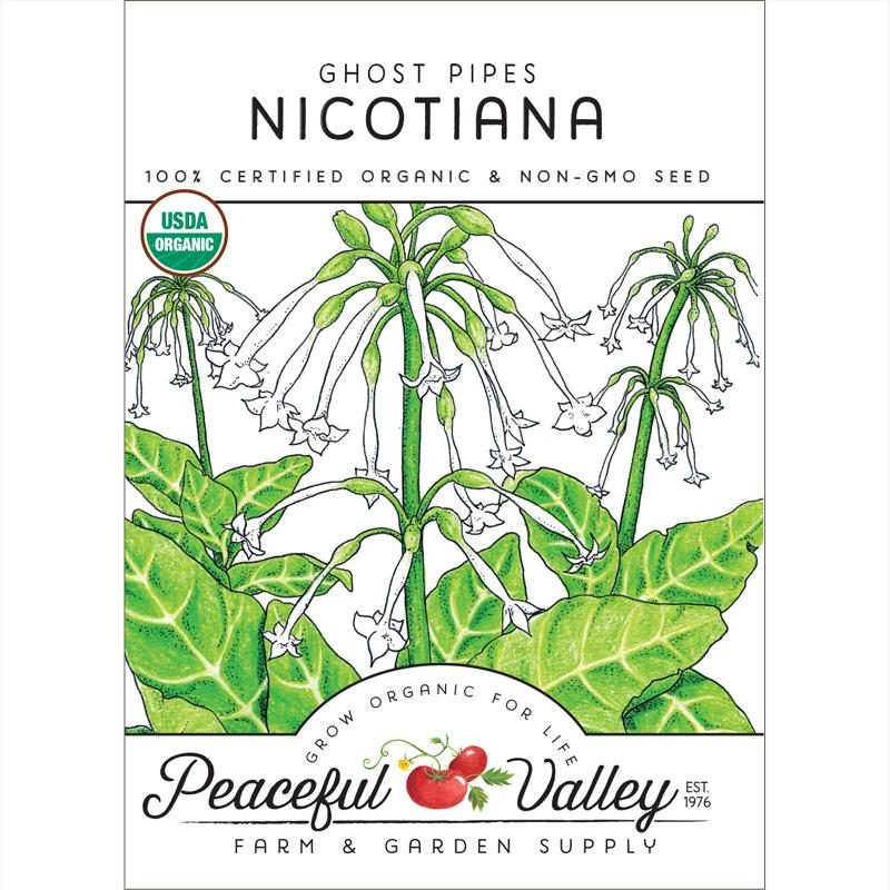 Organic Nicotiana, Ghost Pipes (pack) - Grow Organic Organic Nicotiana, Ghost Pipes (pack) Flower Seed & Bulbs