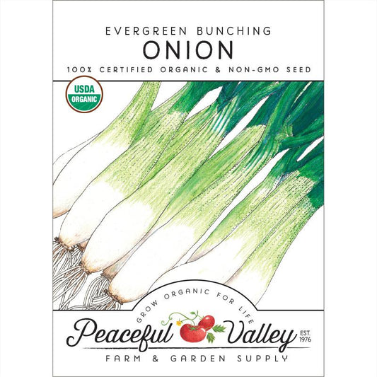 Evergreen Bunching Onion Seeds (Organic) - Grow Organic Evergreen Bunching Onion Seeds (Organic) Vegetable Seeds