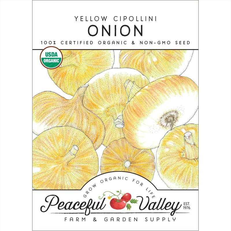 Yellow Cipollini Onion Seeds (Organic) - Grow Organic Yellow Cipollini Onion Seeds (Organic) Vegetable Seeds