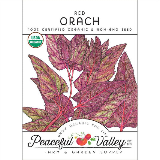 Red Orach Seeds (Organic) - Grow Organic Red Orach Seeds (Organic) Vegetable Seeds