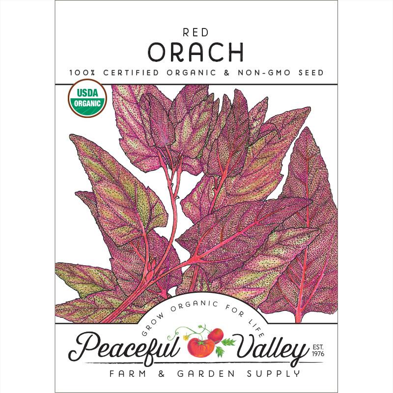 Red Orach Seeds (Organic) - Grow Organic Red Orach Seeds (Organic) Vegetable Seeds