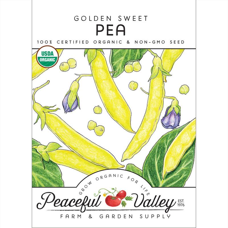 Golden Sweet Pea Seeds (Organic) - Grow Organic Golden Sweet Pea Seeds (Organic) Vegetable Seeds