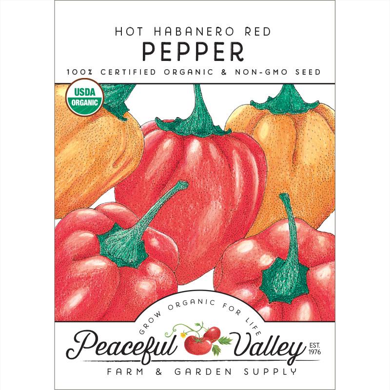 Hot Habanero Pepper Seeds (Organic) - Grow Organic Hot Habanero Pepper Seeds (Organic) Vegetable Seeds