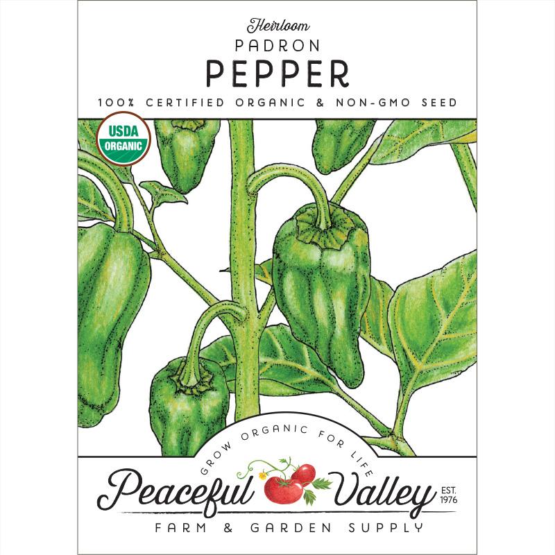 Padron Pepper Seeds (Organic) - Grow Organic Padron Pepper Seeds (Organic) Vegetable Seeds