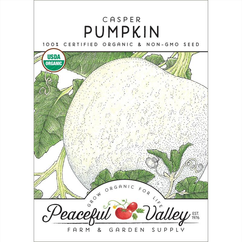 Casper Pumpkin Seeds (Organic) - Grow Organic Casper Pumpkin Seeds (Organic) Vegetable Seeds