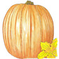 Organic Pumpkin, Howden (1/4 lb) - Grow Organic Organic Pumpkin, Howden (1/4 lb) Vegetable Seeds