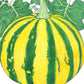 Organic Pumpkin, Kakai (Hull-Less) (1/4 lb) - Grow Organic Organic Pumpkin, Kakai (Hull-Less) (1/4 lb) Vegetable Seeds