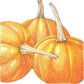 Organic Pumpkin, Small Sugar (1/4 lb) - Grow Organic Organic Pumpkin, Small Sugar (1/4 lb) Vegetable Seeds