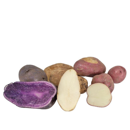 Fall-Planted Organic Rainbow Mix Seed Potatoes - Grow Organic Fall-Planted Organic Rainbow Mix Seed Potatoes (lb) Potatoes