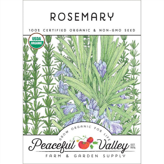 Organic Rosemary - Grow Organic Organic Rosemary Herb Seeds