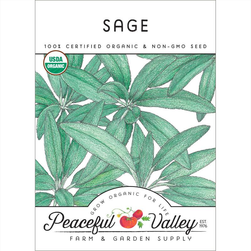 Organic Sage - Grow Organic Organic Sage Herb Seeds