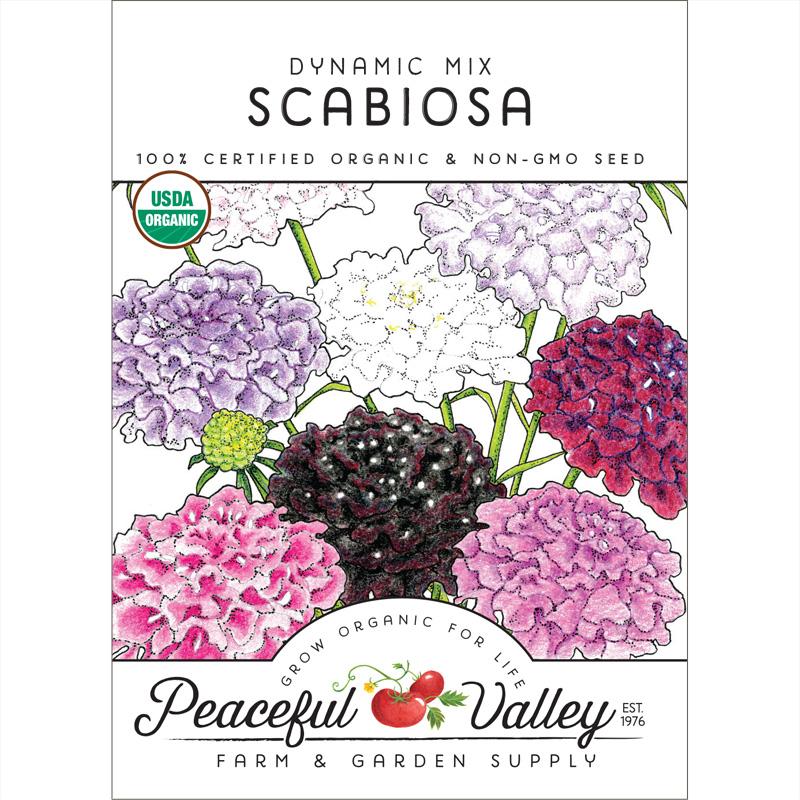 Organic Scabiosa, Dynamic Mix (pack) - Grow Organic Organic Scabiosa, Dynamic Mix (pack) Flower Seed & Bulbs