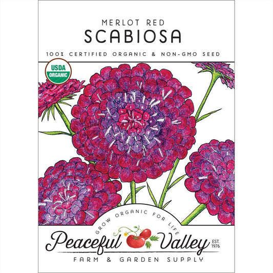 Organic Scabiosa, Merlot Red (pack) - Grow Organic Organic Scabiosa, Merlot Red (pack) Flower Seed & Bulbs