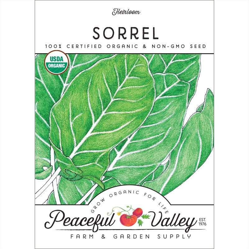 Organic Sorrel - Grow Organic Organic Sorrel Herb Seeds