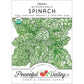 Bloomsdale Spinach Seeds (Organic) - Grow Organic Bloomsdale Spinach Seeds (Organic) Vegetable Seeds