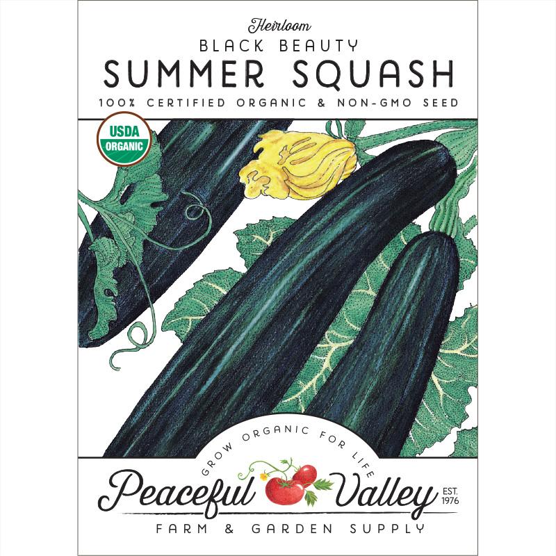 Black Beauty Summer Squash Seeds (Organic) - Grow Organic Black Beauty Summer Squash Seeds (Organic) Vegetable Seeds