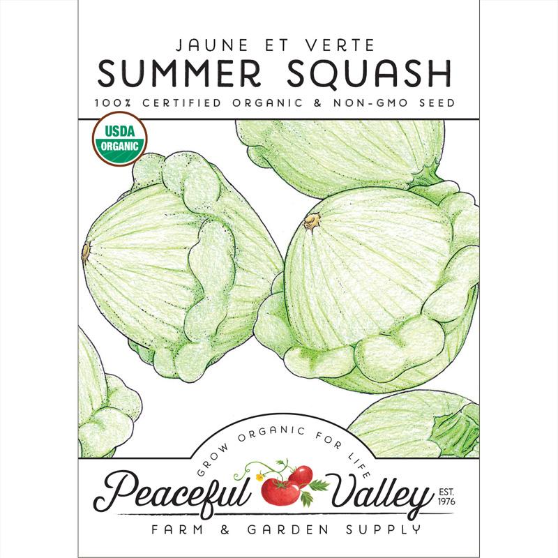 Jaune et Verte Summer Squash Seeds (Organic) - Grow Organic Jaune et Verte Summer Squash Seeds (Organic) Vegetable Seeds