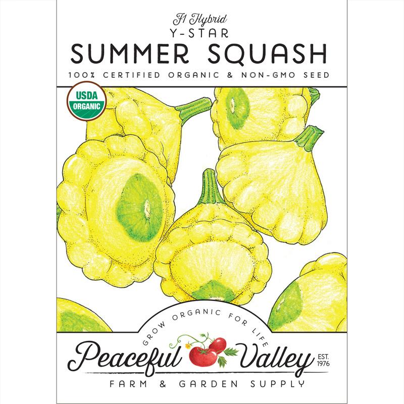 Y-Star Summer Squash Seeds (Organic) - Grow Organic Y-Star Summer Squash Seeds (Organic) Vegetable Seeds
