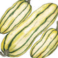 Organic Squash, Winter Delicata (1 oz) - Grow Organic Organic Squash, Winter Delicata (1 oz) Vegetable Seeds