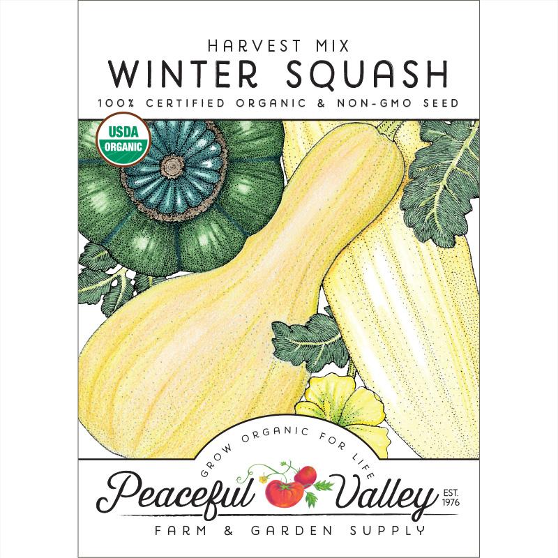 Harvest Mix Winter Squash Seeds (Organic) - Grow Organic Harvest Mix Winter Squash Seeds (Organic) Vegetable Seeds