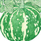 Organic Squash, Winter Kabocha (1/4 lb) - Grow Organic Organic Squash, Winter Kabocha (1/4 lb) Vegetable Seeds